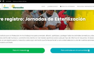 Alcaldía de Maracaibo impulsa Plan “Cría Consciente” para esterilizar a las mascotas