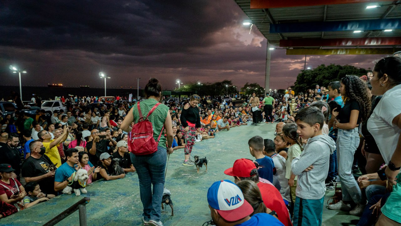 Ella y Pincher se convirtieron en los ganadores del Desfile de Disfraces de Mascotas de los Carnavales 2023 (20)