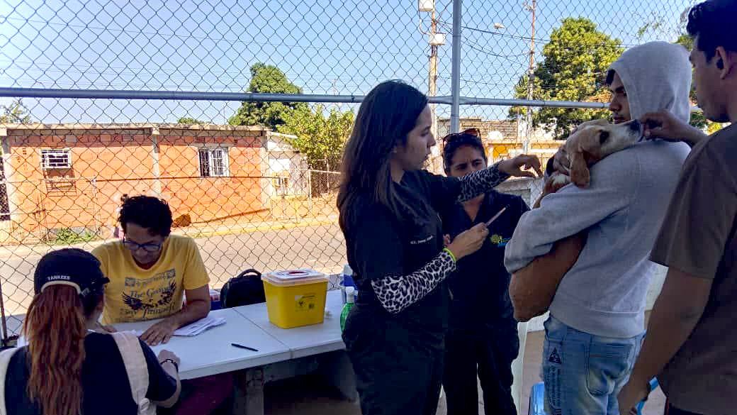 Plan de Vacunación Antirrábica llegará a 9 parroquias en marzo (1)