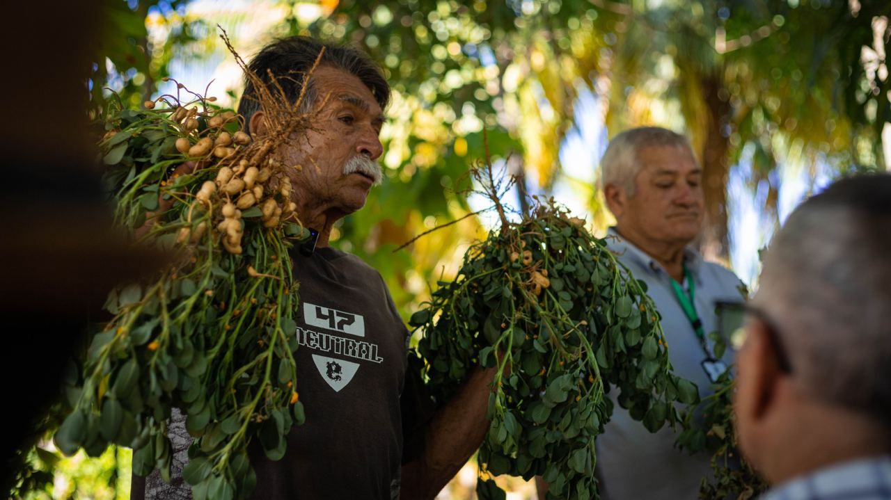Producción agrícola, gastronomía y turismo tres áreas en las que se promovió a Maracaibo en 2022 (5)