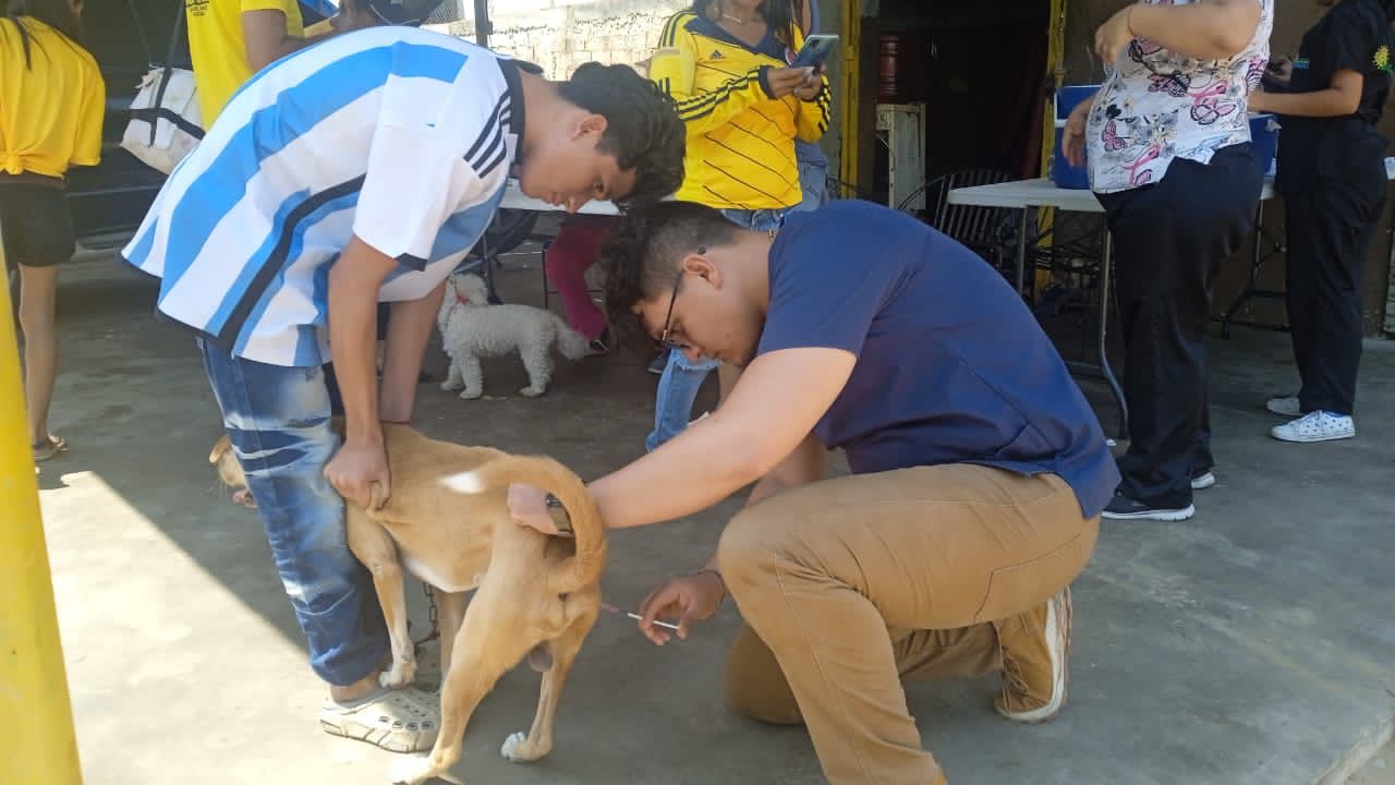 3.016 mascotas fueron inmunizadas con el Plan de Vacunación Antirrábica de la Alcaldía de Maracaibo (1)