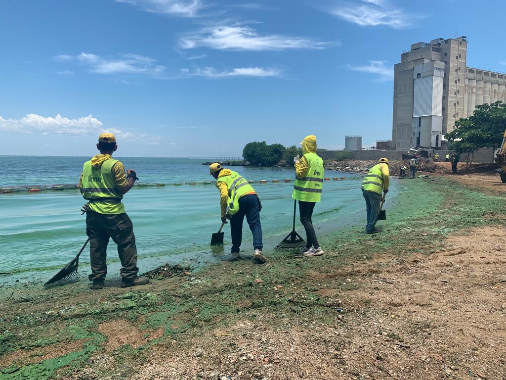 Plan Limpieza a las Riberas del Lago, recolectó 150mts desechos (2)