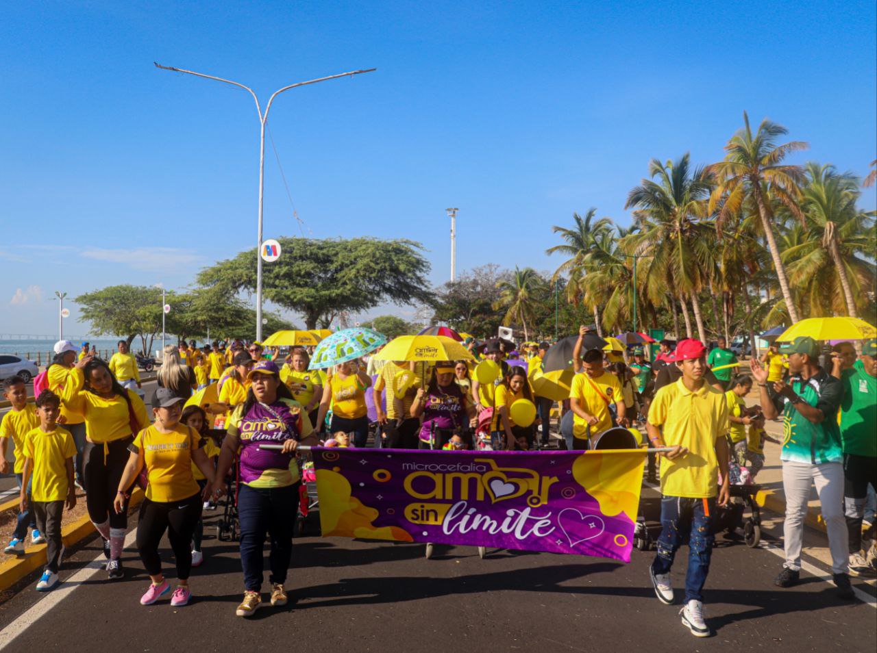 Grupo de Apoyo y Alcaldía conmemoran Día de la Microcefalia (1)