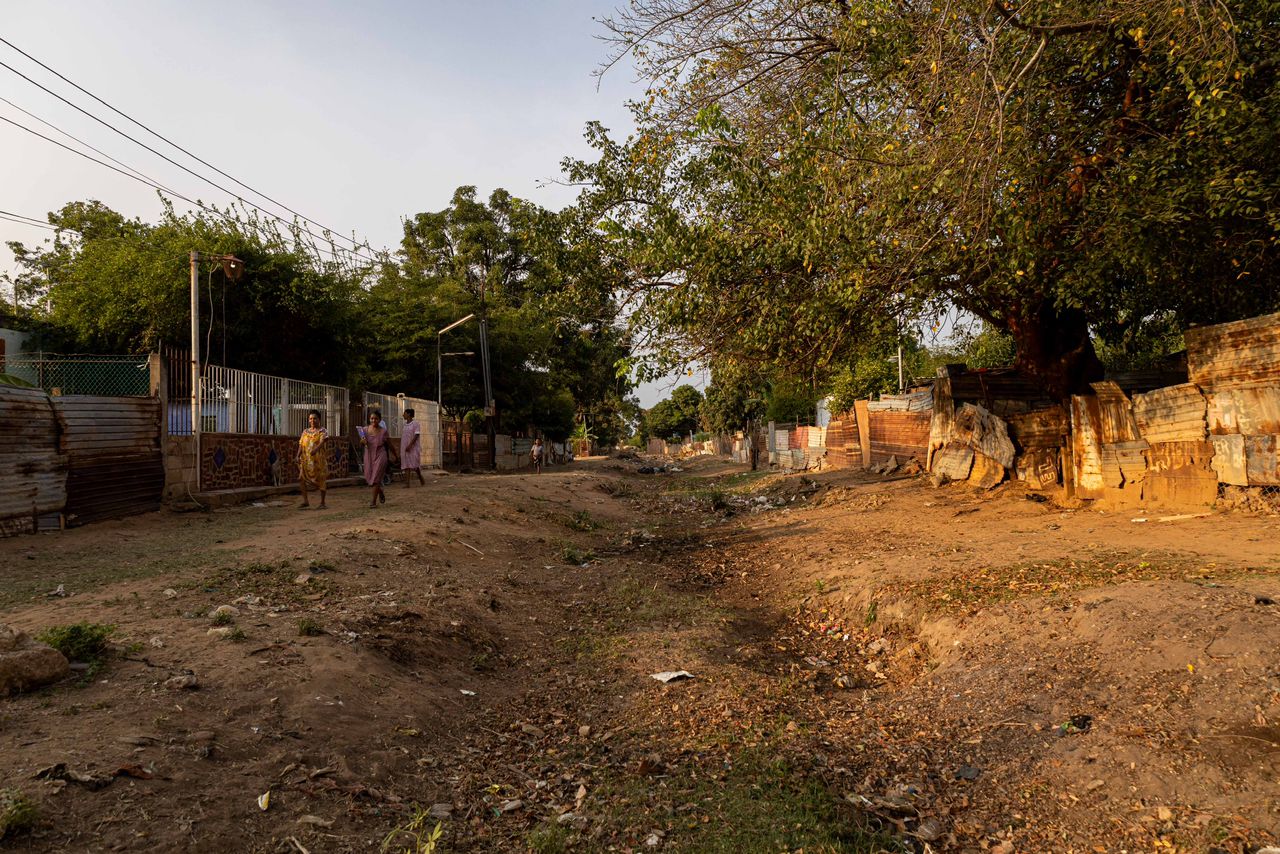 Alcaldía avanza en limpieza de cañadas sacando 9 TON de desechos de Los Caribe tramo Balmiro León – Palo Negro (1)