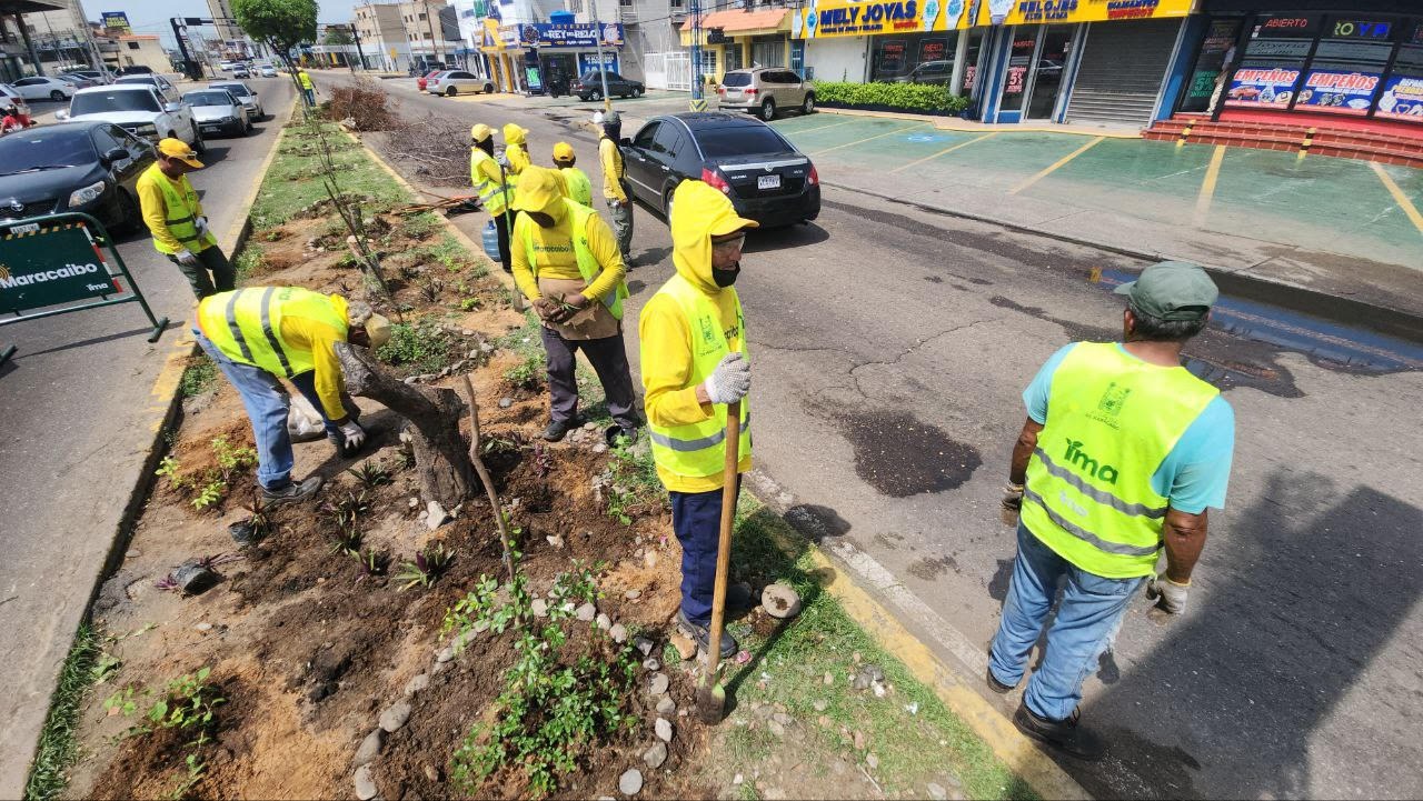 IMA viste de verdes intersección de la 72 con Delicias (2)
