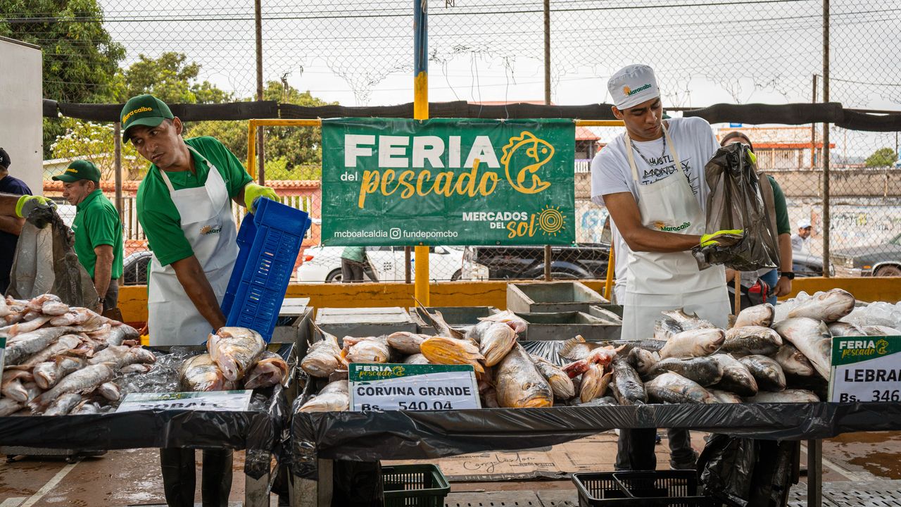 Feria del Pescado 2025 arranca en Luis Hurtado Higuera (12)
